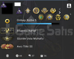 12 MADALYALI FACEİT KAYITSIZ 5K CSGO SAATİ