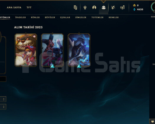 TR GOLD 1 29 LP I 62 WR I 31 CHAMP 3 KOSTUM SMURF