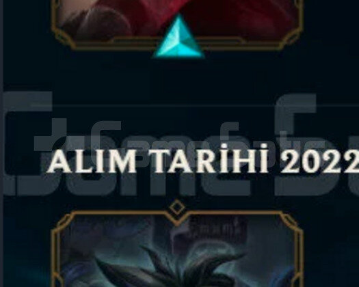 TR GOLD 1 2 KOSTUM HESAP
