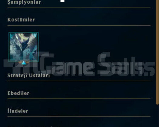 TR GOLD 1 2 KOSTUM HESAP