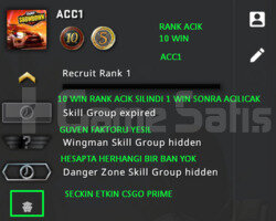 2 MADALYA CSGO PRIME RANK ACIK YESIL FAKTOR