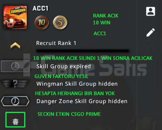 2 MADALYA CSGO PRIME RANK ACIK YESIL FAKTOR