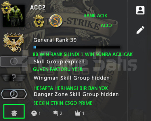 2 MADALYA | PRIME CSGO RANK ACIK | YESIL FAKTOR