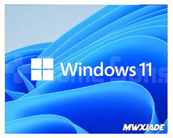Windows 11 Pro Lisans Anahtarı | PC