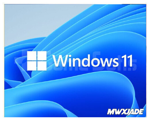 Windows 11 Pro Lisans Anahtarı | PC