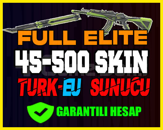 TR SUNUCU / 45-500 SKİN / ULTRA VİP HESAPLAR