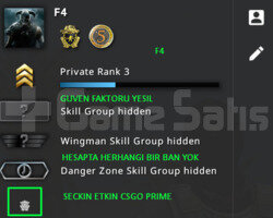 2 MADALYA | FULL PRIME CSGO | GUVEN FAKTORU YESIL