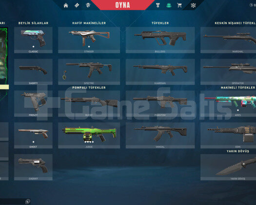 TR MAİLLİ SKİNLİ 71LVL TEMİZ HESAP