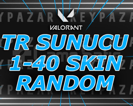3 ADET TR SUNUCU 1-40 SKİN EJDER ÇIKABİLİR & PASİF