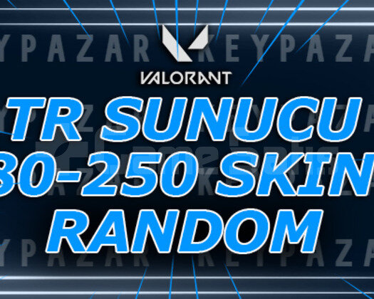 TR SUNUCU 80-250 SKİN EJDER ÇIKABİLİR HEMEN TESLİM