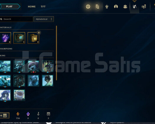 Euw Gold 3 + 11 Kostüm