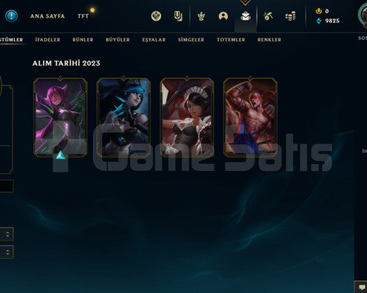 TR PLAT 1 13LP 65WR I MASTER ELO 10K MAVİ ÖZ