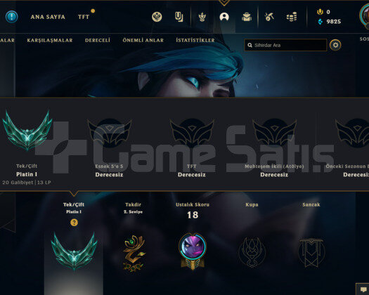 TR PLAT 1 13LP 65WR I MASTER ELO 10K MAVİ ÖZ