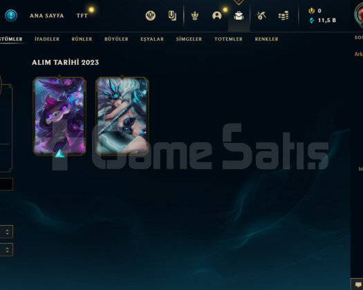 TR GOLD 4 27 LP 65WR I YÜKSEK MMR 12K MAVİ ÖZ