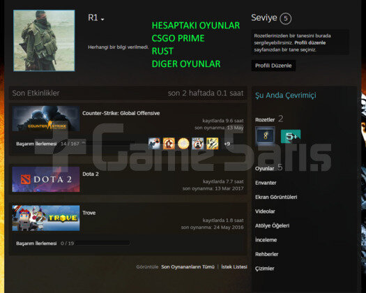 CSGO PRIME YESIL FAKTOR + RUST 300 TL OYUN