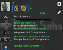 CSGO PRIME YESIL FAKTOR + RUST 300 TL OYUN