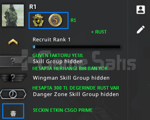 CSGO PRIME YESIL FAKTOR + RUST 300 TL OYUN