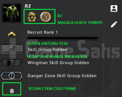 2 MADALYA | PRIME CSGO | MAGAZA TR YESIL FAKTOR