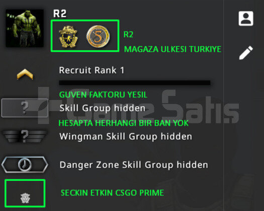 2 MADALYA | PRIME CSGO | MAGAZA TR YESIL FAKTOR