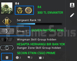 CSGO PRIME RANK ACIK 300 TL ENVANTER YESIL FAKTOR