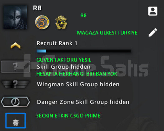 2 MADALYA | PRIME CSGO | MAGAZA TR YESIL FAKTOR