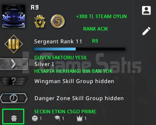 PRIME CSGO | RANK ACIK YESIL FAKTOR | +300 TL OYUN