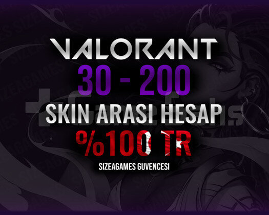 100TR 30-200 SKIN ARASI HESAP / GARANTİLİ