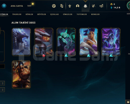 TR GOLD 4 44LP 65 WR I YÜKSEK ELO BOL KOSTÜM 14K M