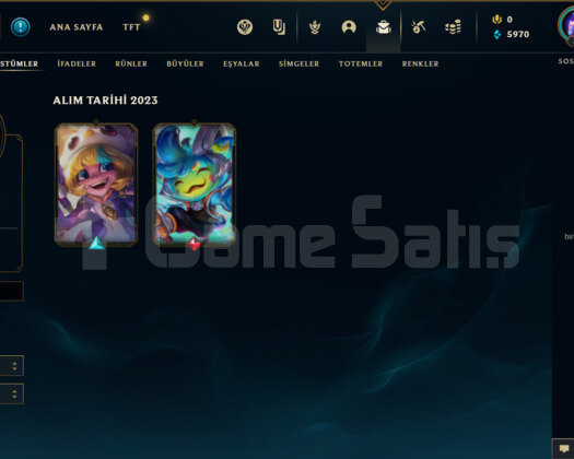 TR GOLD 1 54 LP 57WR I HİGH MMR 37 CHAMP-2 KOSTÜM