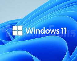 WİNDOWS 11 PRO KEY & ANINDA TESLİM