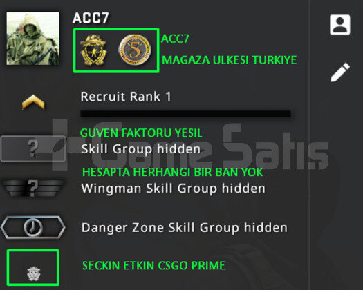 2 MADALYA | PRIME CSGO | MAGAZA TR YESIL FAKTOR