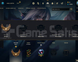 TR GOLD 1 100LP I 70 WR YÜKSEK ELO