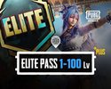 PUBG Mobile A20 Elite Pass Plus RP 1-100 Lv GLOBAL