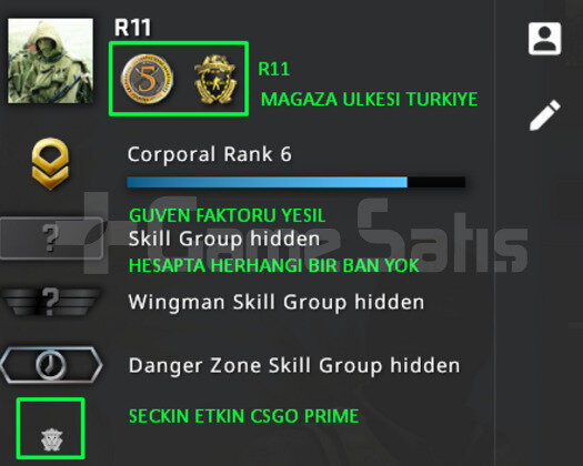 2 MADALYA | PRIME CSGO | MAGAZA TR YESIL FAKTOR
