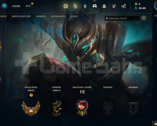 EUW Gold 1 | 6 Kostüm - 20K Mö | LoL Hesap