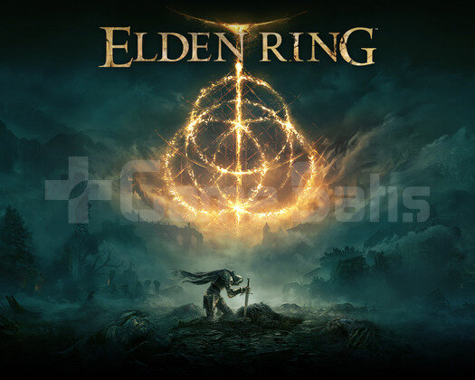 Elden Ring Deluxe Edition + Online + Garanti