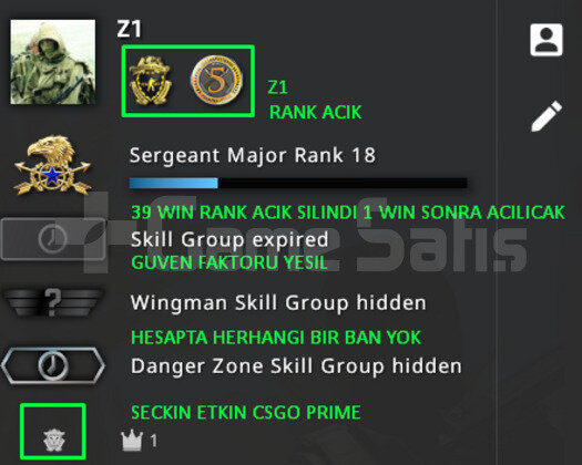 2 MADALYA | RANK ACIK PRIME CSGO | YESIL FAKTOR