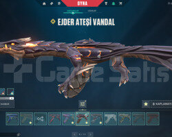 11 EFSANE VANDAL VE 9 HARİKA PHANTOM TR HESAP