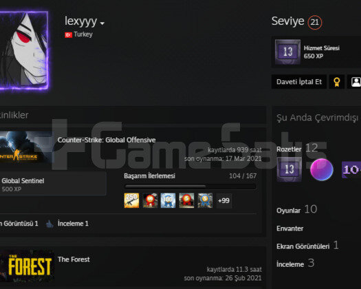 3 ROZETLİ CSGO HESAP
