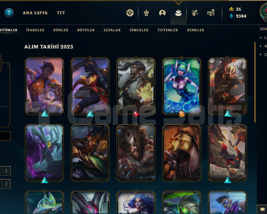 65 Hero 21 skin DJ SONA olan Plat 4 0lp hesap