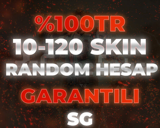 100TR 10-200 SKIN ARASI HESAP / GARANTİLİ