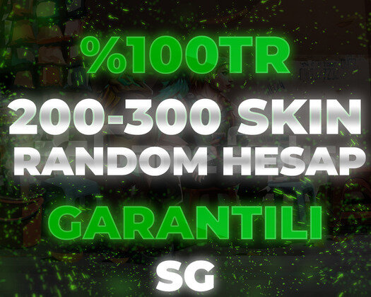 100TR 200-300 SKIN ARASI HESAP / GARANTİLİ