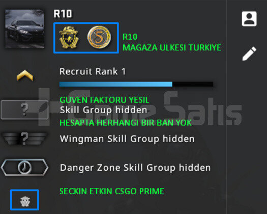 2 MADALYA | PRIME CSGO | MAGAZA TR YESIL FAKTOR
