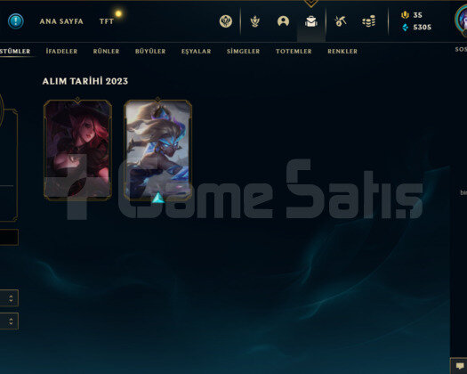 TR PLAT 2 72WR I DİA-MASTER ELO SMURF HESAP