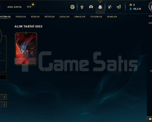 TR PLAT 4 13LP 61WR I YÜKSEK ELO 22K MAVİ ÖZ