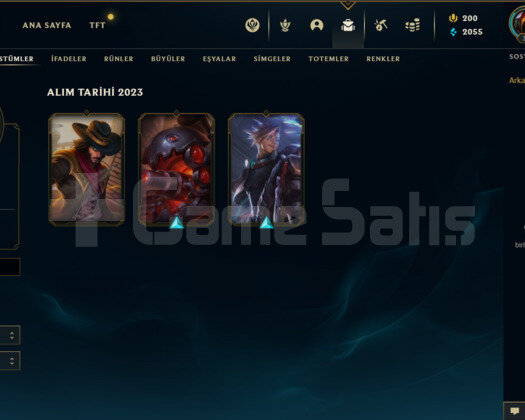 TR PLAT 2 I YÜKSEK ELO SMURF