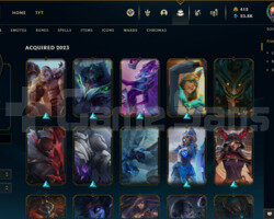 575 KOSTÜMLÜ 813 LEVEL 247 RENK MASTER HESAP