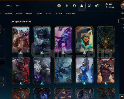 575 KOSTÜMLÜ 813 LEVEL 247 RENK MASTER HESAP