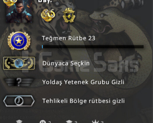 Global Elite / İlk Mail / 19 Gün sonra 5yıl rozeti
