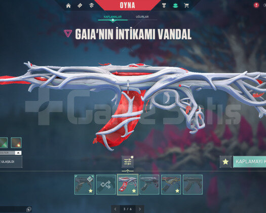4 VANDALLI 4 BIÇAKLI MÜKEMMEL HESAP!